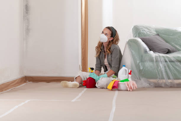 Reliable Commercial Mold Remediation contractor in Lawrenceville, IL by 24 Hour Mold Removal